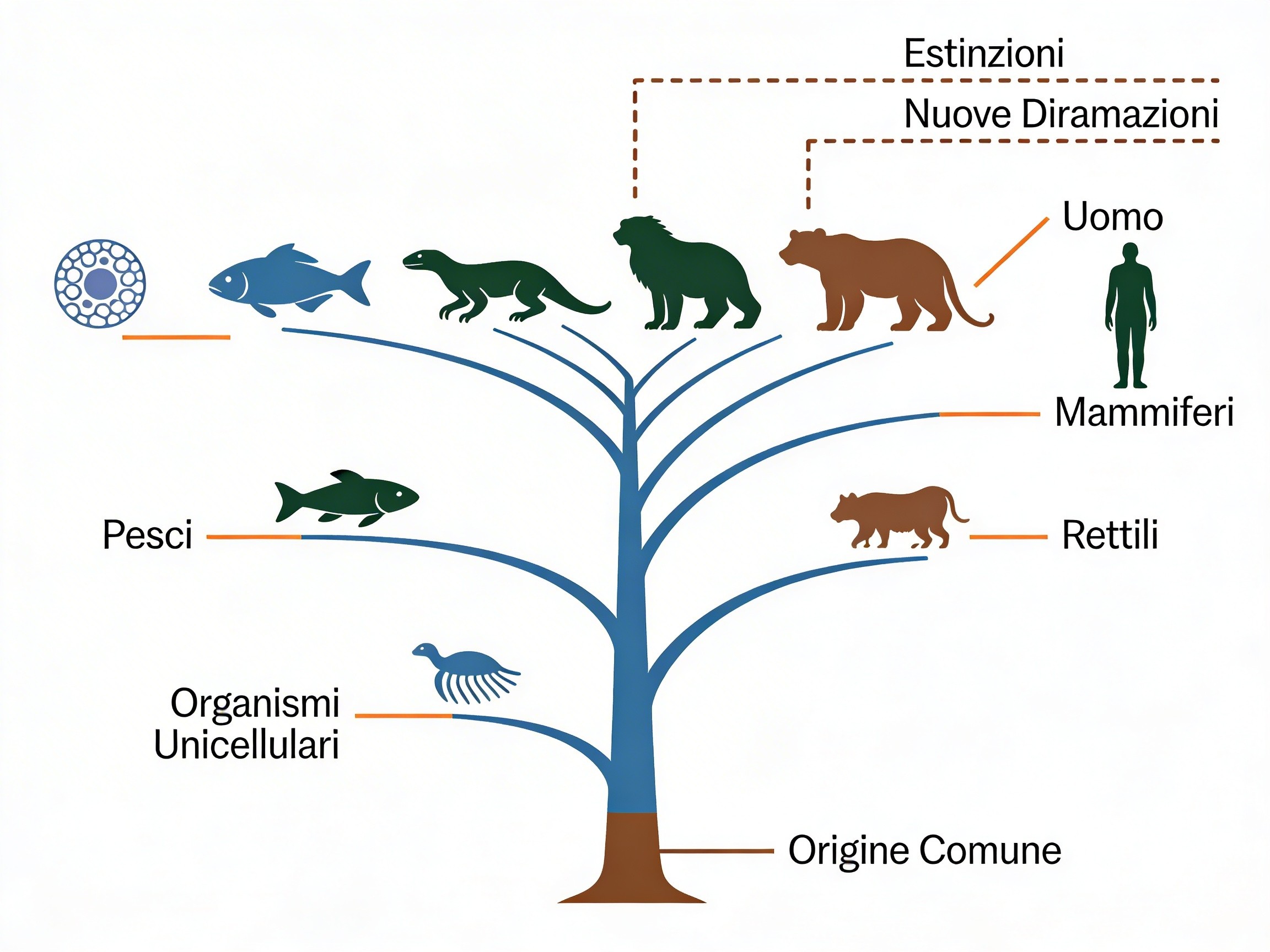 Albero della vita darwiniano con diversificazione delle specie